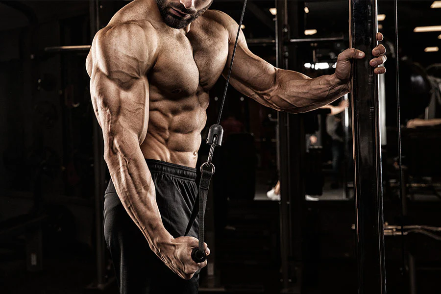 How to Build Muscle: Your Ultimate Guide to Strength and Growth